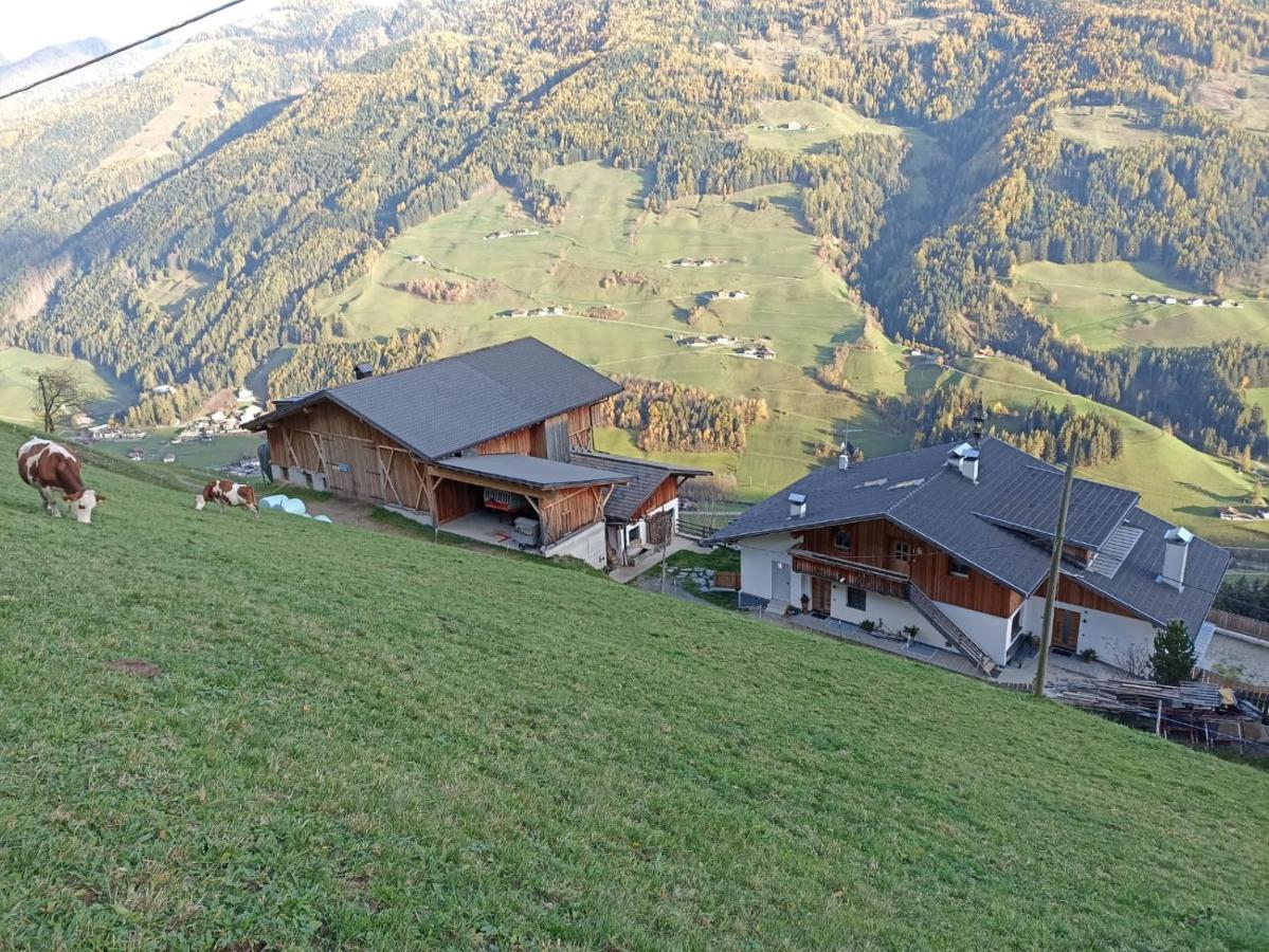 Ortnerhof Apartment Ahrntal Exterior foto